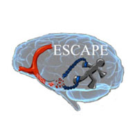 studies-escape-escape